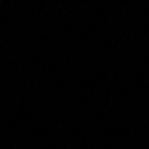 Meet your Posher, Sasha